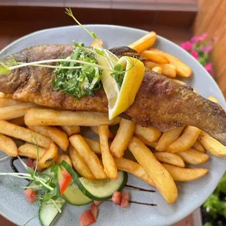 Bed & Breakfast Elemels Planet Ustron