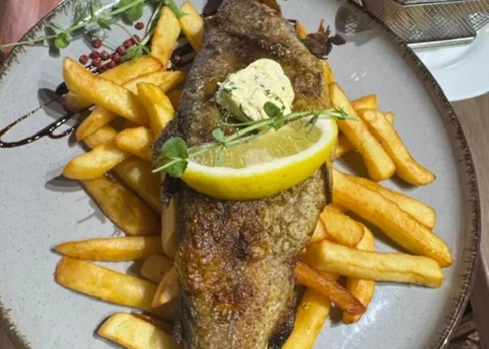 Elemels Planet Ustroń