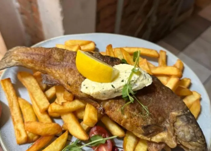 Panzió Elemels Planet Ustroń